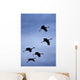 Flock Of Flying Sandhill Cranes Against The Sky Preparing To Land Wall Mural