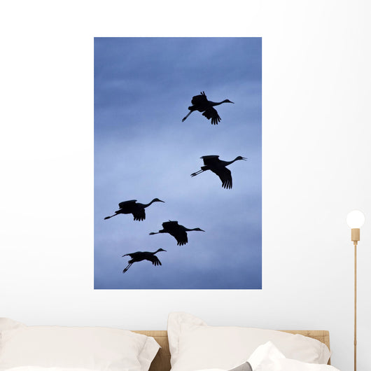 Flock Of Flying Sandhill Cranes Against The Sky Preparing To Land Wall Mural