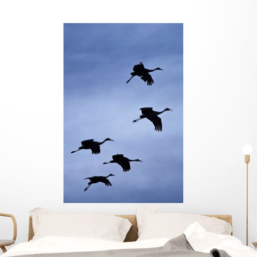 Flock Of Flying Sandhill Cranes Against The Sky Preparing To Land Wall Mural