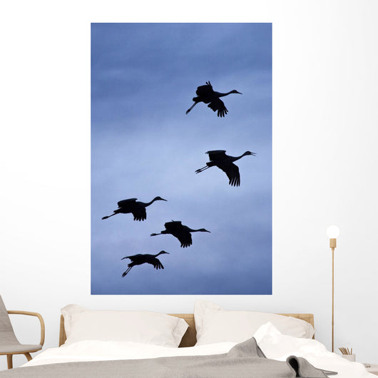 Flock Of Flying Sandhill Cranes Against The Sky Preparing To Land Wall Mural