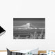 Infrared Image Mt Redoubt Wall Decal
