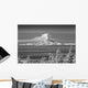 Infrared Image Mt Redoubt Wall Decal