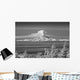 Infrared Image Mt Redoubt Wall Decal