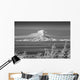 Infrared Image Mt Redoubt Wall Decal