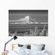 Infrared Image Mt Redoubt Wall Decal