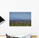 Skyline View Of Anchorage, Alaska, Southcentral, Summer Wall Mural