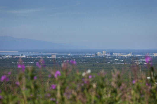 Skyline View Of Anchorage, Alaska, Southcentral, Summer Wall Mural