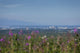 Skyline View Of Anchorage, Alaska, Southcentral, Summer Wall Mural