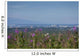 Skyline View Of Anchorage, Alaska, Southcentral, Summer Wall Mural