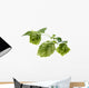 Detail of hop cone and leaves on white background Wall Decal