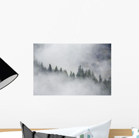 Fog Rises Among The Trees Wall Mural