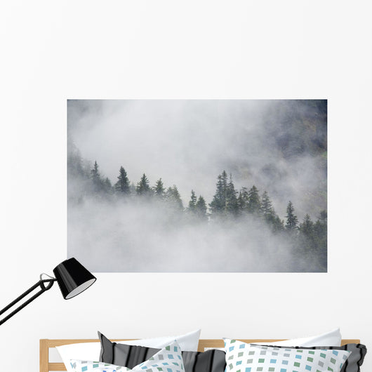 Fog Rises Among The Trees Wall Mural