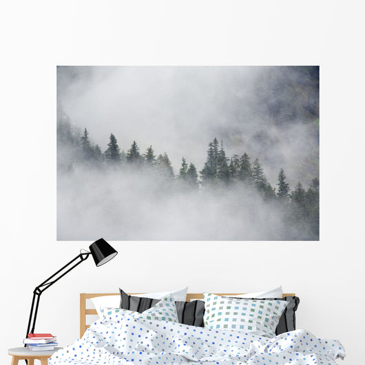 Fog Rises Among The Trees Wall Mural