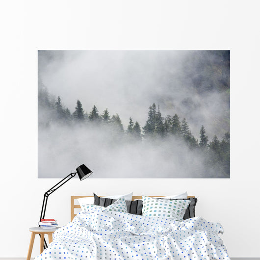 Fog Rises Among The Trees Wall Mural