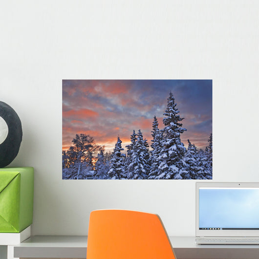 View Of Snow Covered Spruce Trees Wall Mural