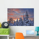 View Of Snow Covered Spruce Trees Wall Mural