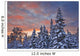 View Of Snow Covered Spruce Trees Wall Mural