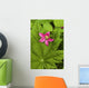 Pink Salmon Berry Flower Resting On Devils Club Leaf Cordova Alaska Wall Mural