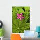 Pink Salmon Berry Flower Resting On Devils Club Leaf Cordova Alaska Wall Mural