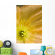 Macro Of Inside An Icelandic Poppy During Summer Wall Mural
