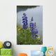 Lupine Flowers, Southwest Alaska, Summer Wall Mural