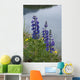 Lupine Flowers, Southwest Alaska, Summer Wall Mural