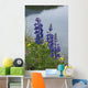Lupine Flowers, Southwest Alaska, Summer Wall Mural