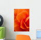 Macro View Of A Orange Begonia Flower During Summer Wall Mural