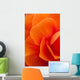 Macro View Of A Orange Begonia Flower During Summer Wall Mural