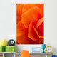 Macro View Of A Orange Begonia Flower During Summer Wall Mural