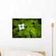 Close Up Of A Dwarf Dogwood Flower Mixed With Ferns Wall Mural