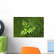 Overhead Perspective Of A Watermelon Berry Plant And Horsetail Grass Wall Mural