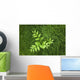 Overhead Perspective Of A Watermelon Berry Plant And Horsetail Grass Wall Mural