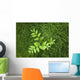 Overhead Perspective Of A Watermelon Berry Plant And Horsetail Grass Wall Mural