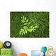 Overhead Perspective Of A Watermelon Berry Plant And Horsetail Grass Wall Mural