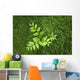 Overhead Perspective Of A Watermelon Berry Plant And Horsetail Grass Wall Mural