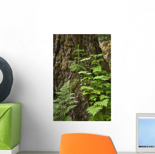 Wood Ferns and Young Wall Decal