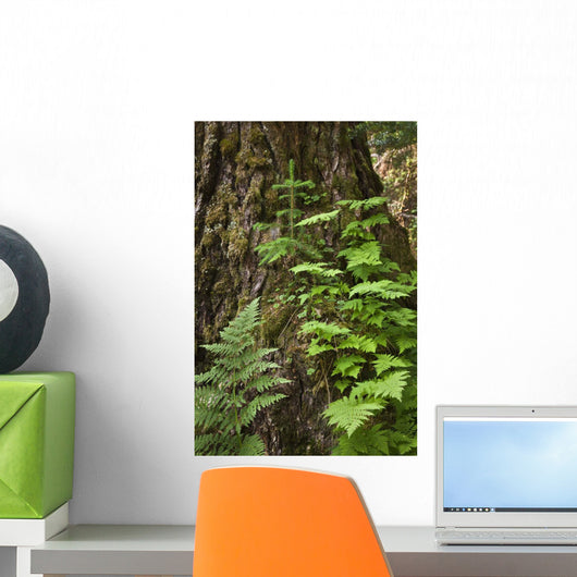 Wood Ferns and Young Wall Decal