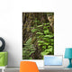 Wood Ferns and Young Wall Decal