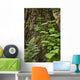 Wood Ferns and Young Wall Decal