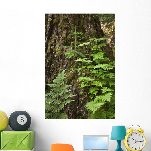 Wood Ferns and Young Wall Decal