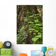 Wood Ferns and Young Wall Decal