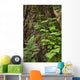 Wood Ferns and Young Wall Decal