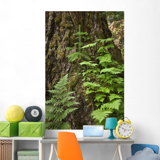 Wood Ferns and Young Wall Decal