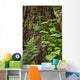 Wood Ferns and Young Wall Decal
