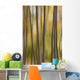 Abstract Of Birch Trees And Fall Colors, Alaska Wall Mural