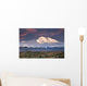 North Face Of Denali At Sunset As Seen From The Wonder Lake Campground Wall Mural