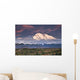 North Face Of Denali At Sunset As Seen From The Wonder Lake Campground Wall Mural