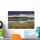 The North Face And Peak Of Mt Mckinley Is Reflected Wall Mural