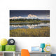 The North Face And Peak Of Mt Mckinley Is Reflected Wall Mural
